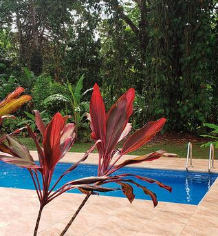 Ciudad Perdida Ecolodge
