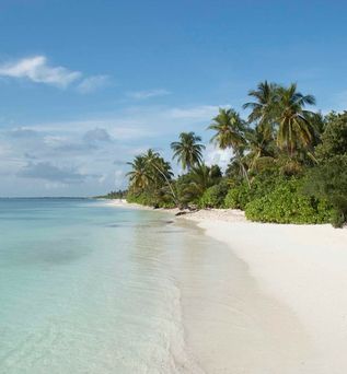 Canareef Resort Maldives