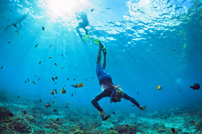 Eine Taucherin auf dem Weg zum Boden, um sie herum schwimmen Fische