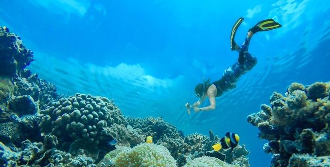 Taucher und Fische unter Wasser