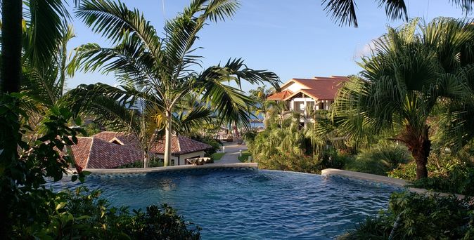 Privater Pool umgeben von Palmen