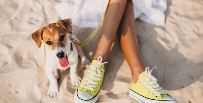 Junge Frau und Hund sitzen gemeinsam im Sand