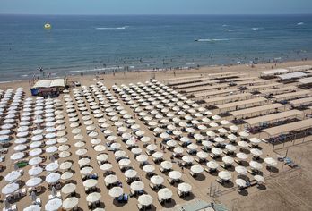 Trendy Verbena Beach