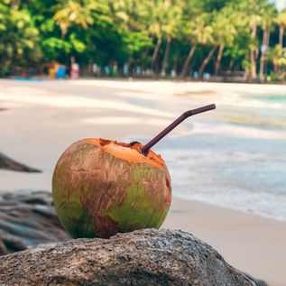 Eine Kokosnuss mit Strohhalm liegt auf Steinen an einem wunderschönen Strand