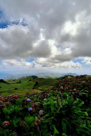 Abbildung