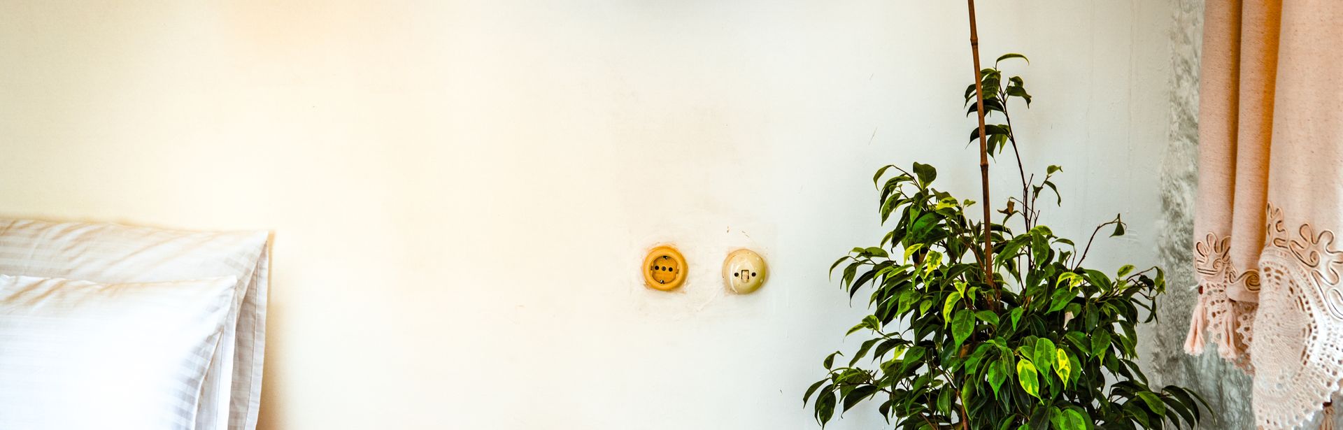 Ausschnitt eines Schlafzimmers mit einem Weiß bezogenem Bett und einer Pflanze