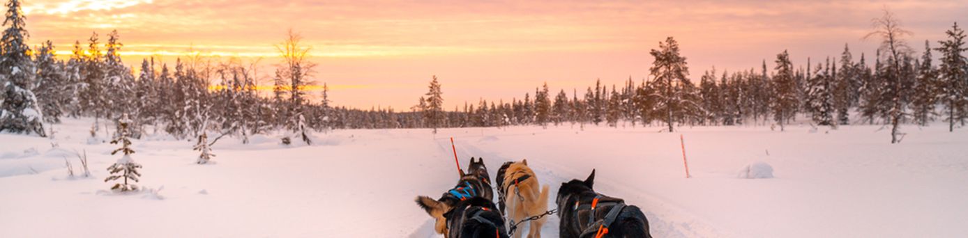 Hunde ziehen einen Schlitten durch den Schnee bei Sonnenuntergang
