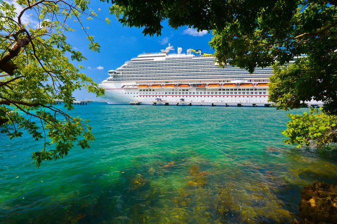 Ein Kreuzfahrtschiff wird durch Äste eines Baumes sichtbar