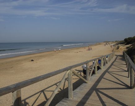 Playaballena