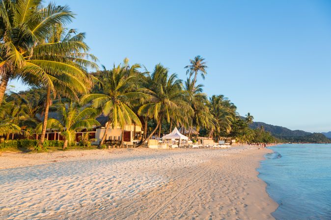 Ein Sandstrand voller Palmem