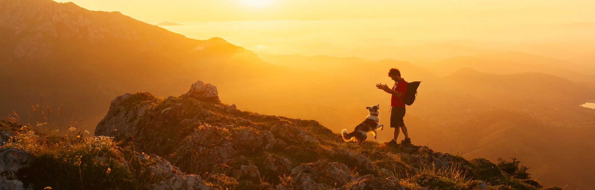 Mann und Hund wandern zusammen in den Bergen bei Sonnenuntergang