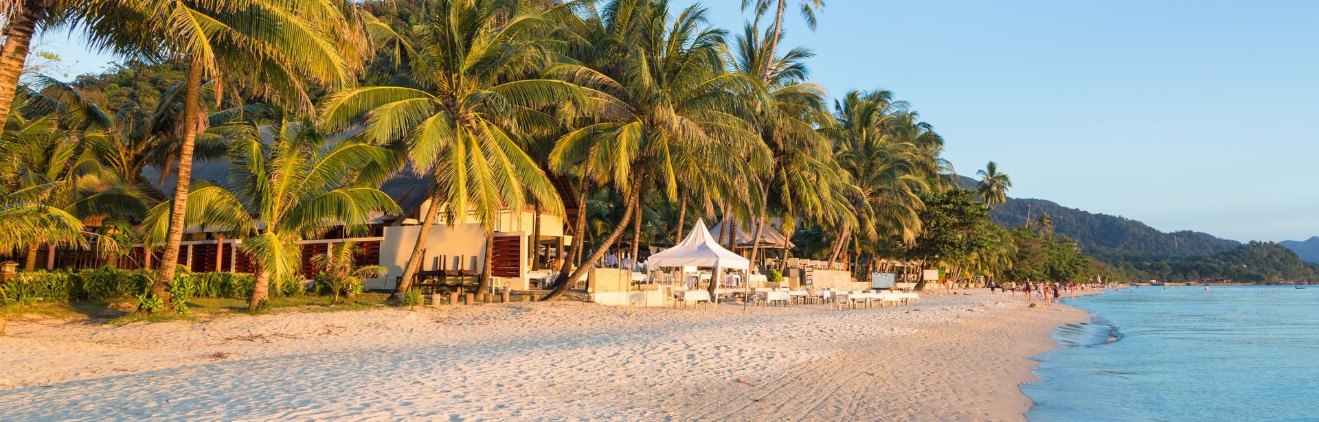 Ein Sandstrand voller Palmem