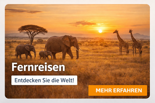 Abbildung