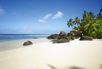 NIVA Labriz Seychelles