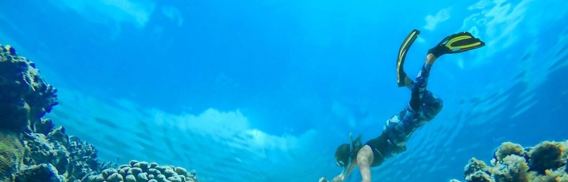 Taucher und Fische unter Wasser