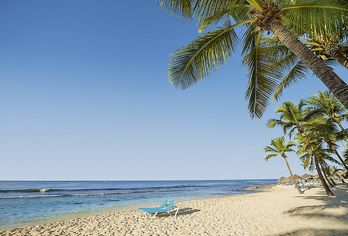 Viva Dominicus Beach by Wyndham, A Trademark All Inclusive