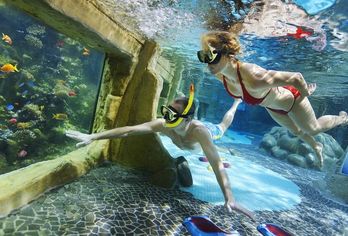 Center Parcs De Kempervennen