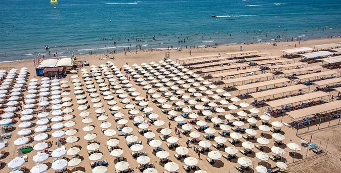 Trendy Verbena Beach