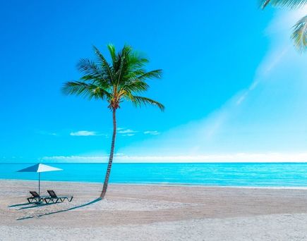 Hyatt Zilara Cap Cana