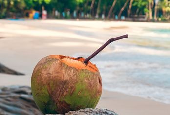 Eine Kokosnuss mit Strohhalm liegt auf Steinen an einem wunderschönen Strand