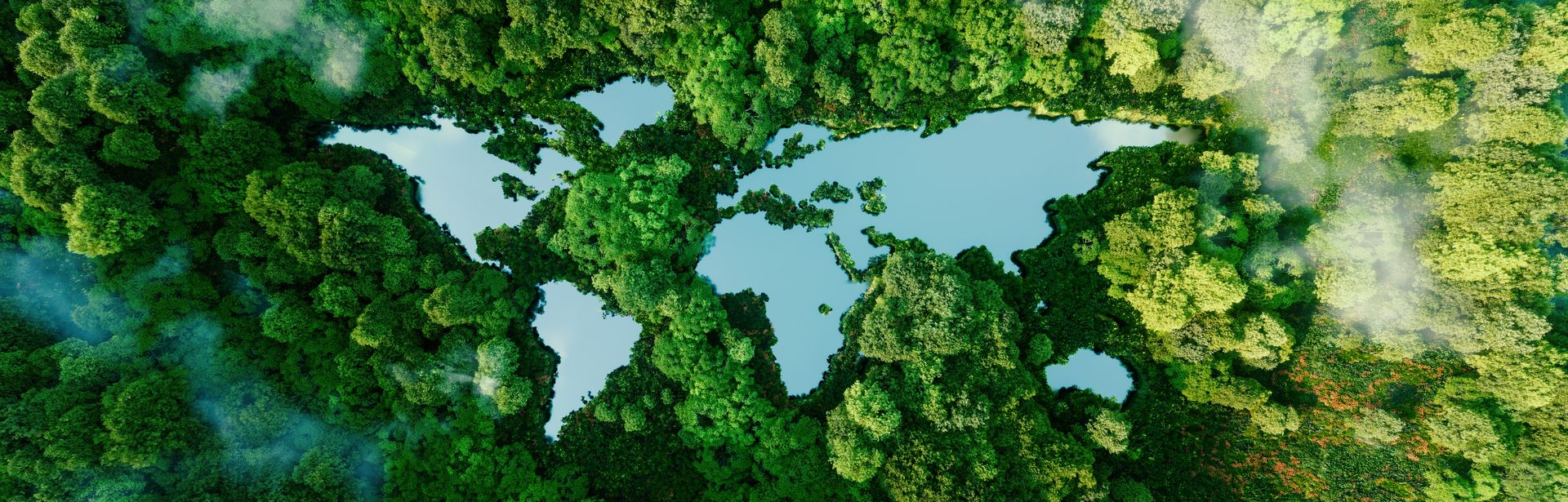Ein Wald von oben, Wasser bildet die Kontinente der Welt