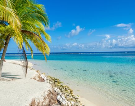 Sandstrand am blauen Meer mit einer Palme