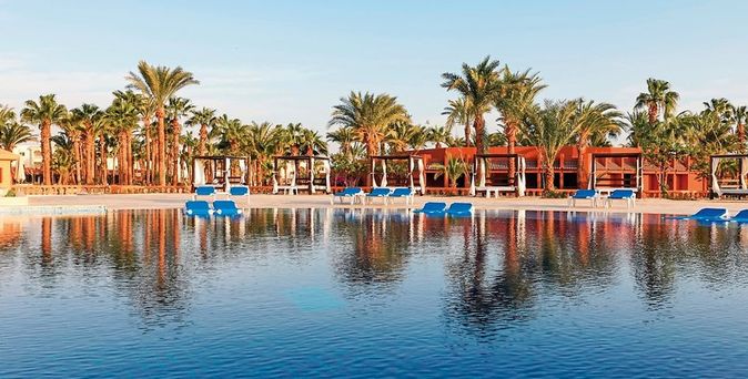 Calimera Blend Paradise