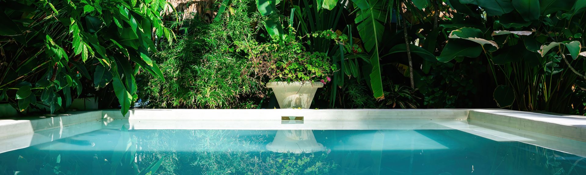 Ein Private Pool umgeben von Pflanzen