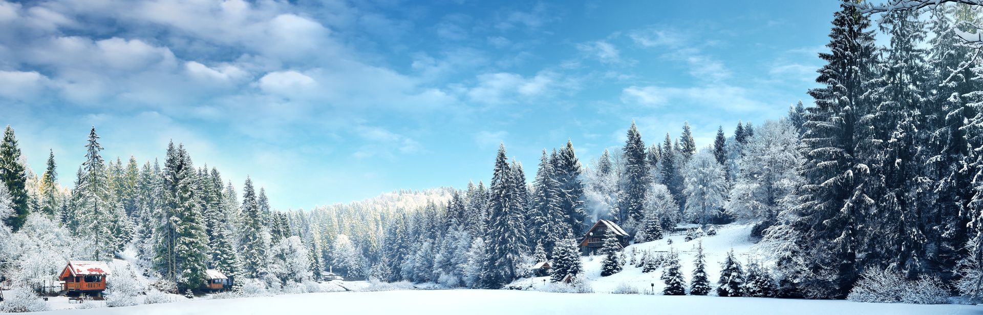 Winterlandschaft, Schnee bedeckte Bäume und ein kleines Haus