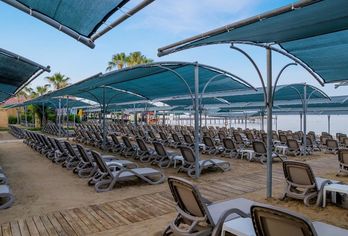 Trendy Palm Beach