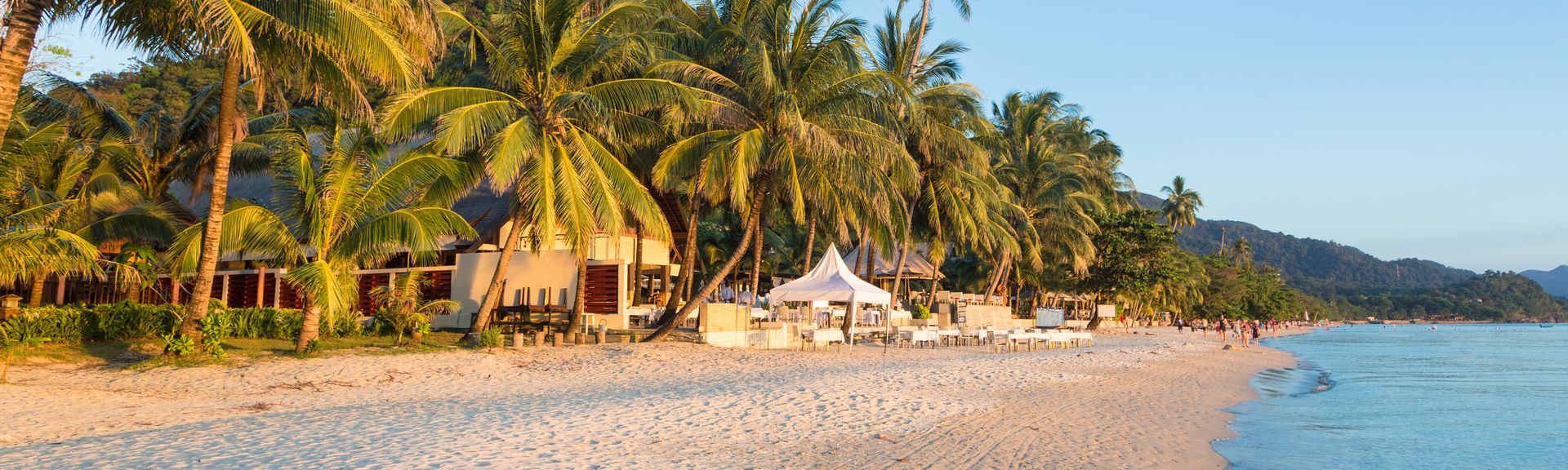 Ein Sandstrand voller Palmem