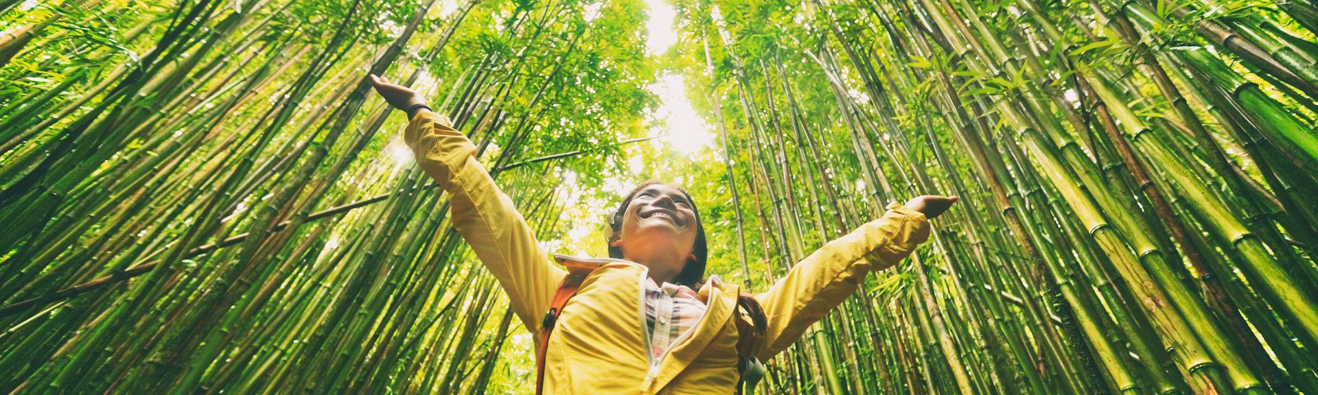 Glückliche Frau in gelber Regenjacke steht in einem Grünen Wald und schaut nach oben