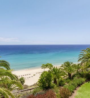 ROBINSON Esquinzo Playa