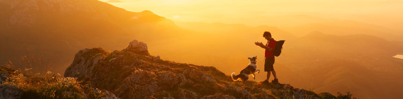 Mann und Hund wandern zusammen in den Bergen bei Sonnenuntergang