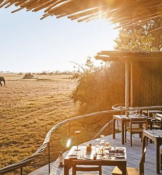 Wilderness Mombo Camp