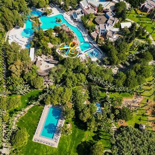 Abbildung