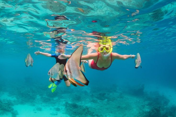 Zwei Kinder tauchen mit Taucherbrille und Schnorchel zwischen Fischen