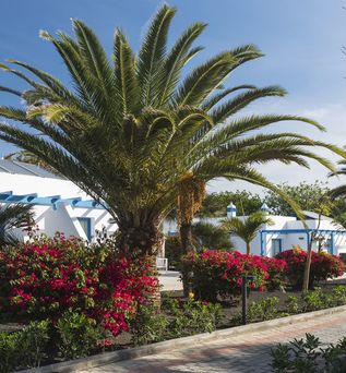 Elba Lanzarote Royal Village Resort