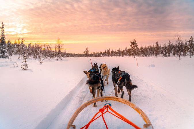 Hunde ziehen einen Schlitten durch den Schnee bei Sonnenuntergang