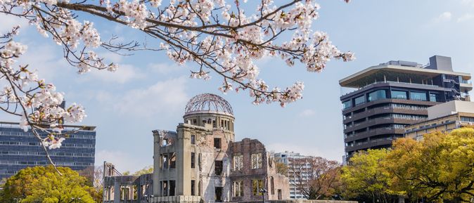 Ein Ast eines Kirschblütenbaumes in Japan, im Hintergrund sieht man Gebäude von Tokio