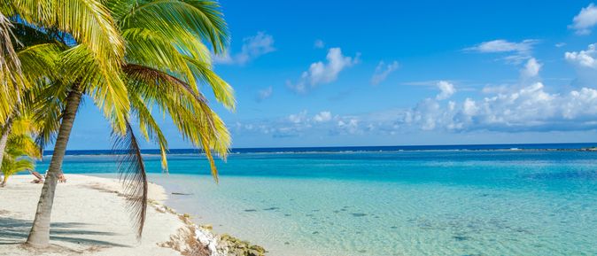 Sandstrand am blauen Meer mit einer Palme