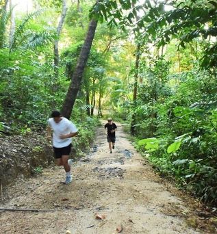 TreeHouse Villas Koh Yao