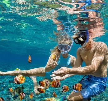 Zwei Taucher mit Taucherbrillen zeigen auf kleine Fische 