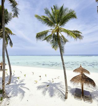 Hotel Riu Atoll