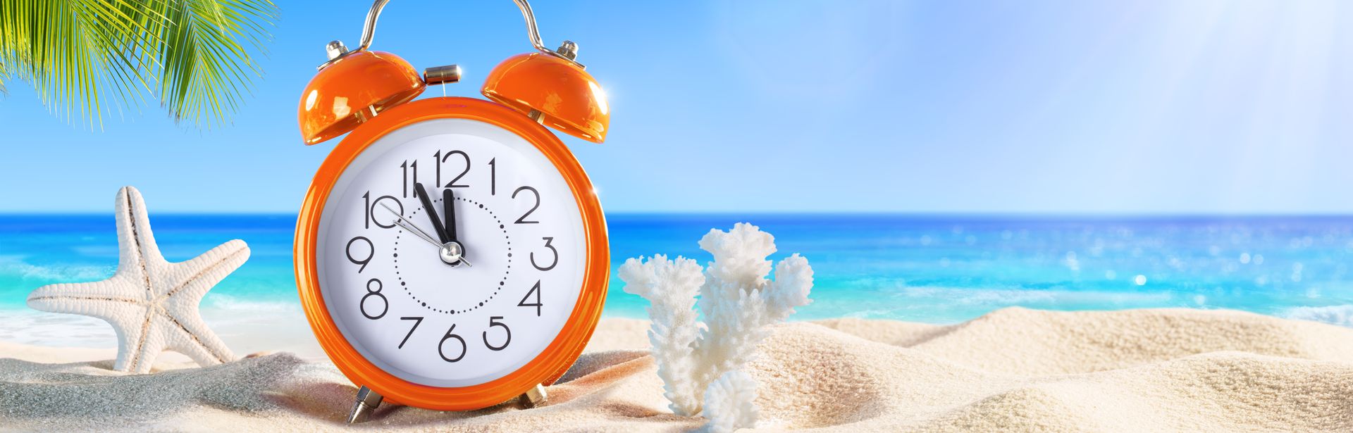 An einem Strand steht ein oranger Wecker und ein Seestern, links im Bild sieht man Palmen