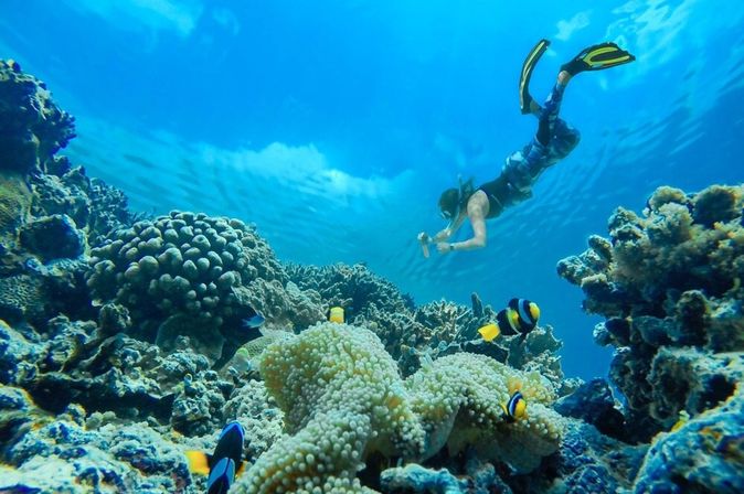 Taucher und Fische unter Wasser