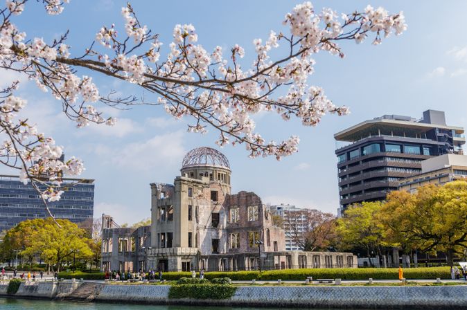 Ein Ast eines Kirschblütenbaumes in Japan, im Hintergrund sieht man Gebäude von Tokio