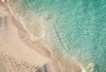 The Ocean Club Bahamas