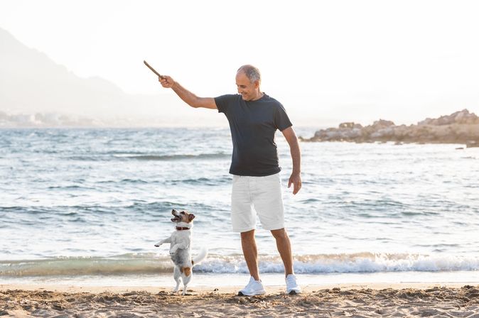 Ein Mann und ein Hund spielen Stöckchen holen am Strand