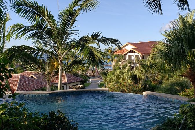 Privater Pool umgeben von Palmen